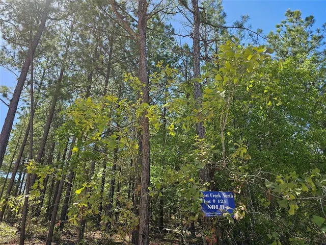 Photo 3 — 401 Hochapine Trail, Broken Bow, OK 74728