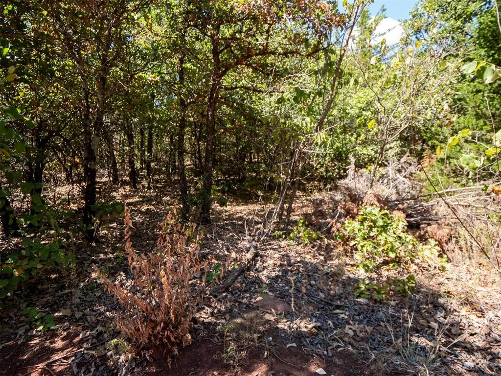 Photo 4 — Stonetree Court, Luther, OK 73054