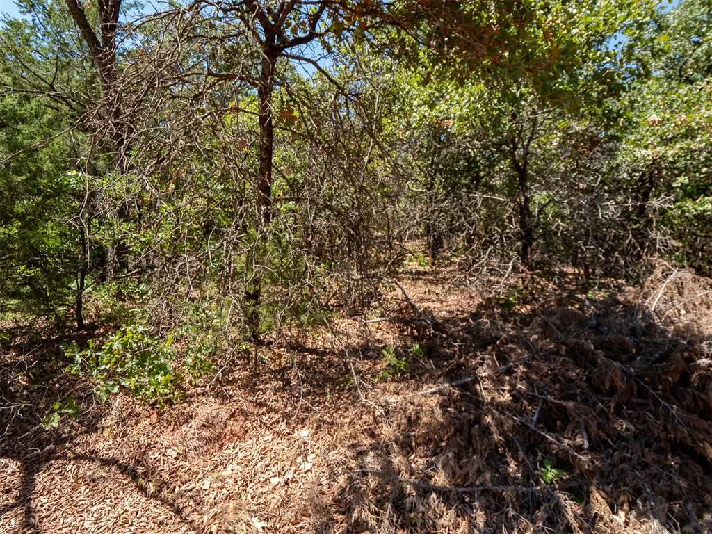 Photo 32 — Stonetree Court, Luther, OK 73054