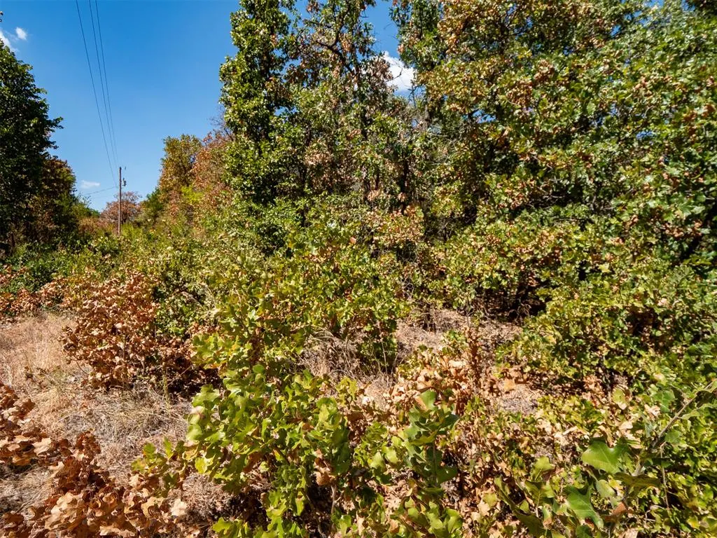 Photo 35 — Stonetree Court, Luther, OK 73054