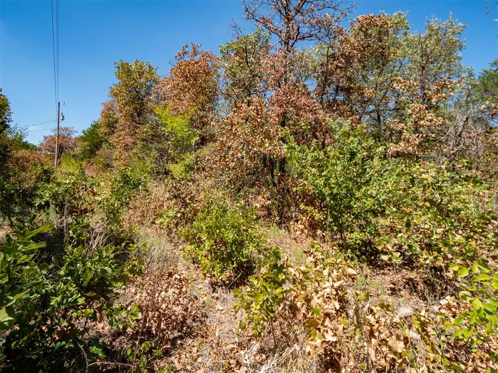 Photo 36 — Stonetree Court, Luther, OK 73054