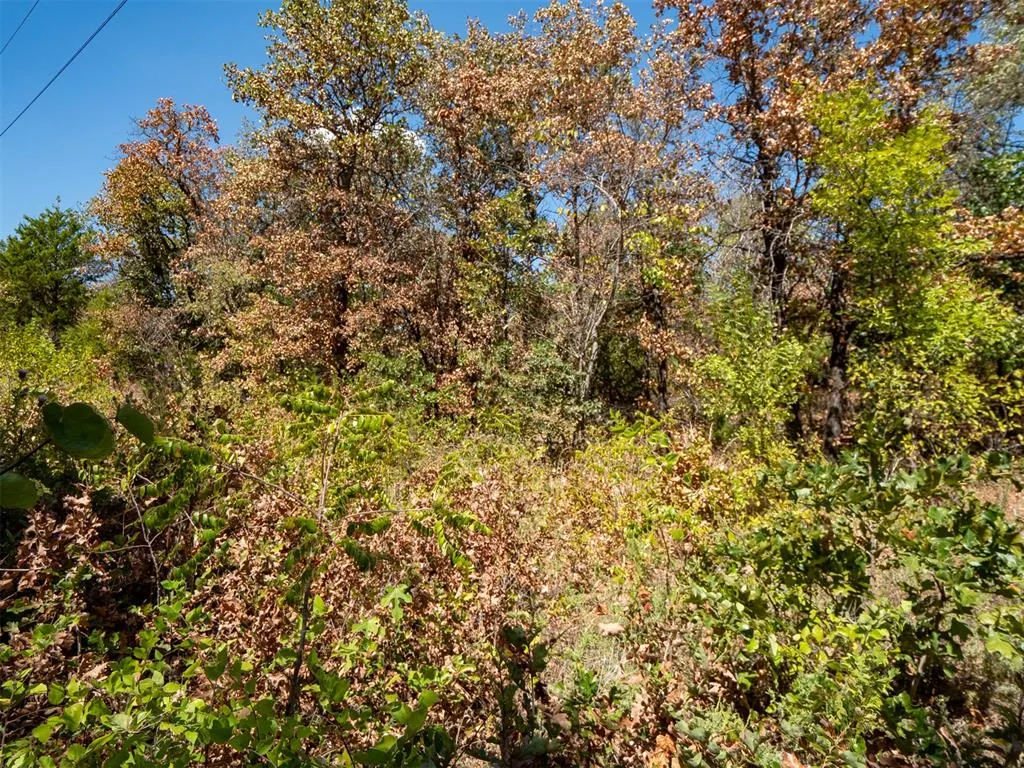 Photo 37 — Stonetree Court, Luther, OK 73054