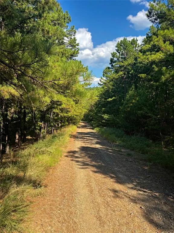 Photo 28 — SE 1095 Avenue, Panola, OK 74559