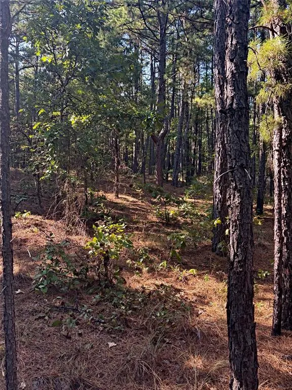 Photo 29 — SE 1095 Avenue, Panola, OK 74559