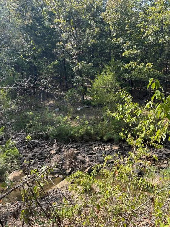 Photo 30 — SE 1095 Avenue, Panola, OK 74559