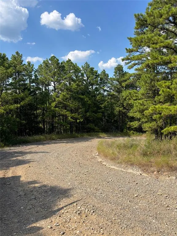 Photo 33 — SE 1095 Avenue, Panola, OK 74559
