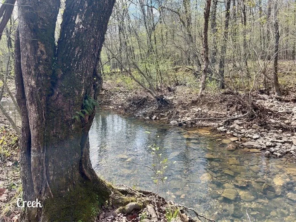 Photo 31 — 262 Forest Brook Lane, Broken Bow, OK 74728