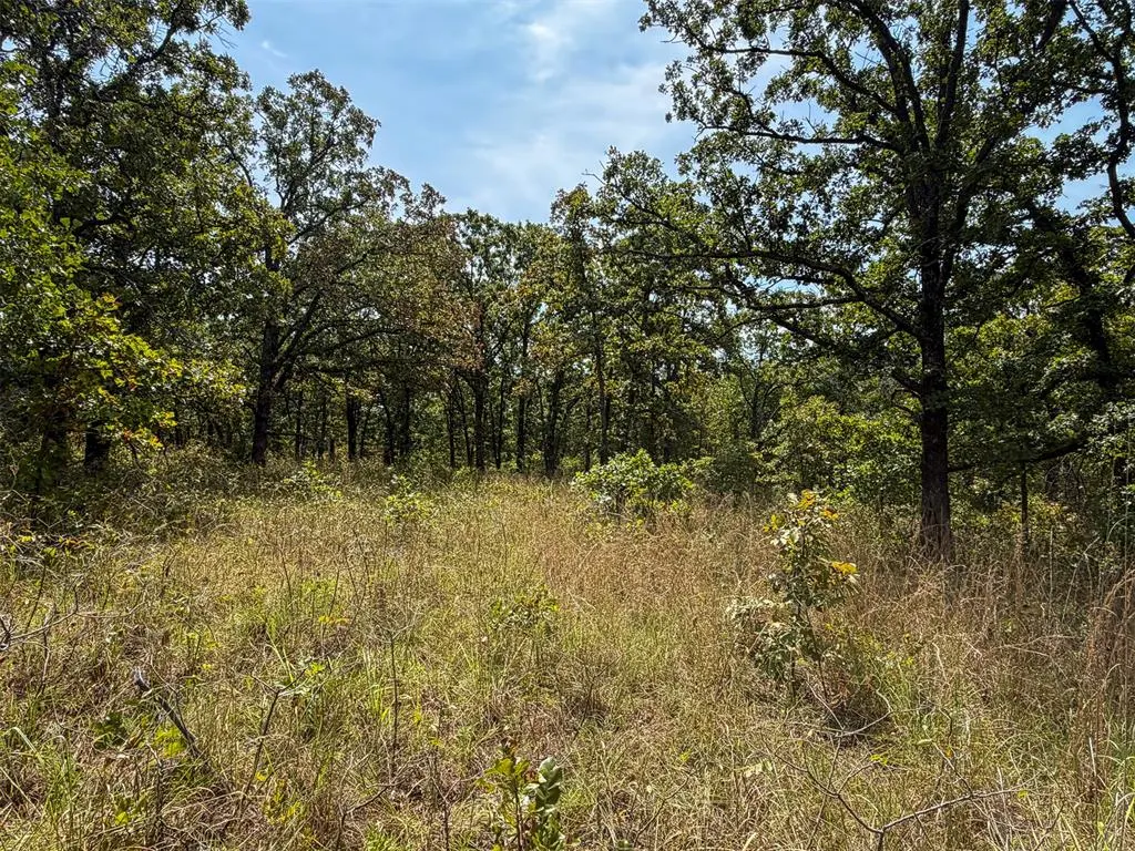 Photo 8 — 0000 W 341ST Street, Depew, OK 74028
