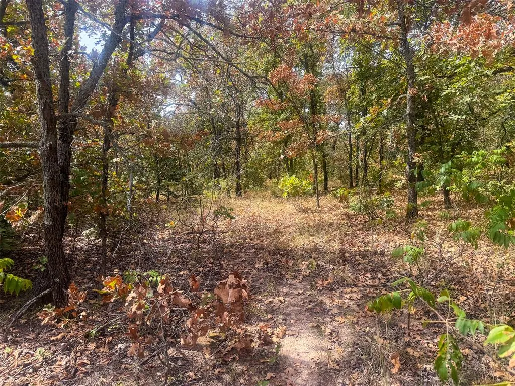 Photo 12 — 0000 W 341ST Street, Depew, OK 74028