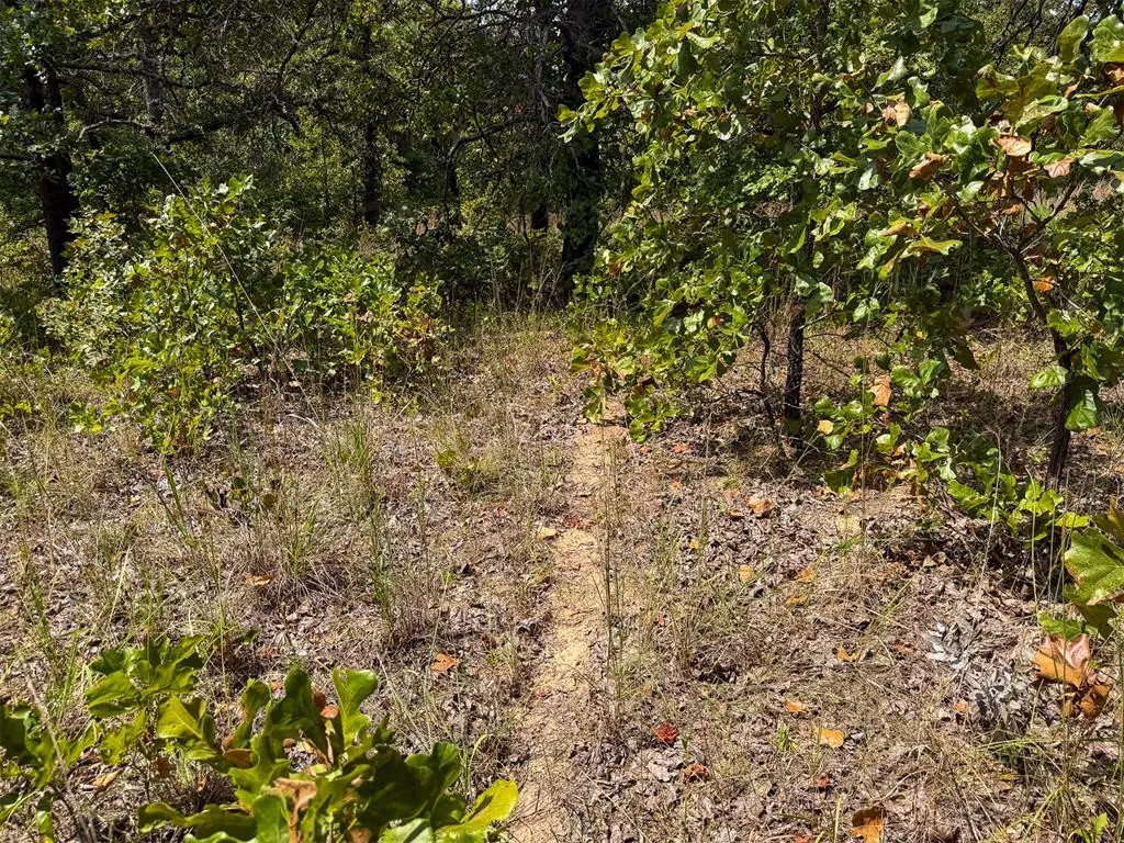 Photo 20 — 0000 W 341ST Street, Depew, OK 74028