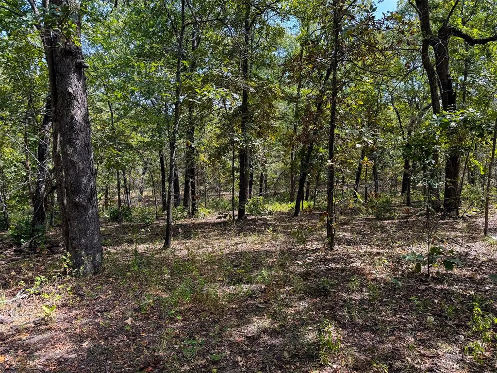 Photo 25 — 0000 W 341ST Street, Depew, OK 74028