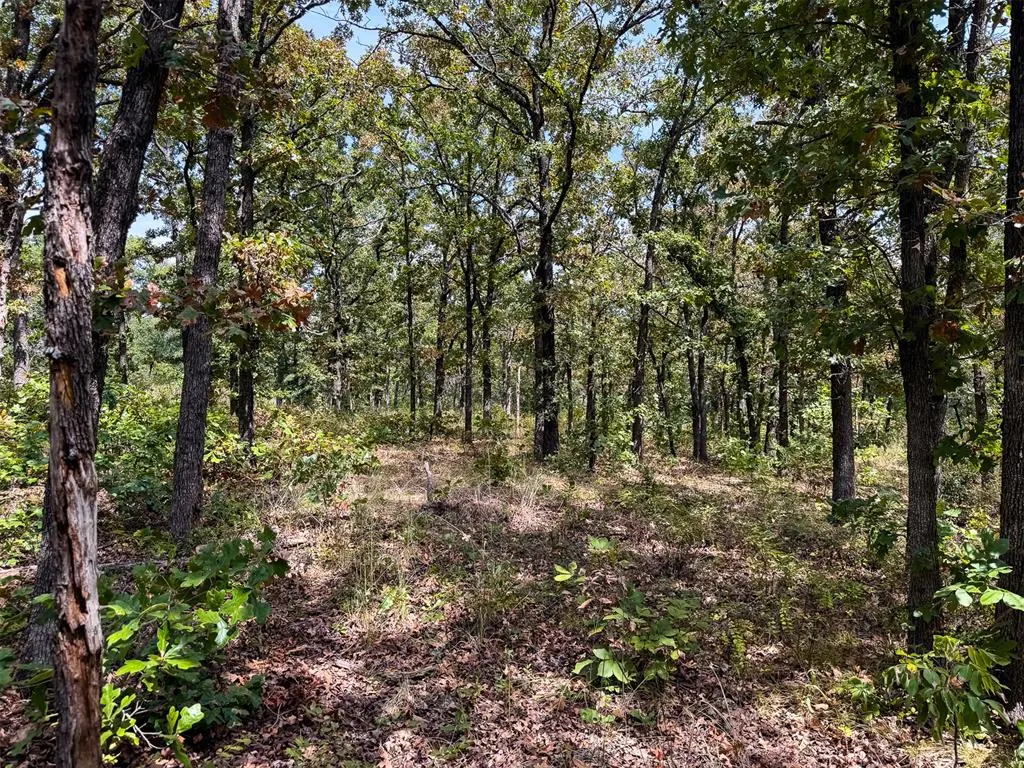 Photo 29 — 0000 W 341ST Street, Depew, OK 74028