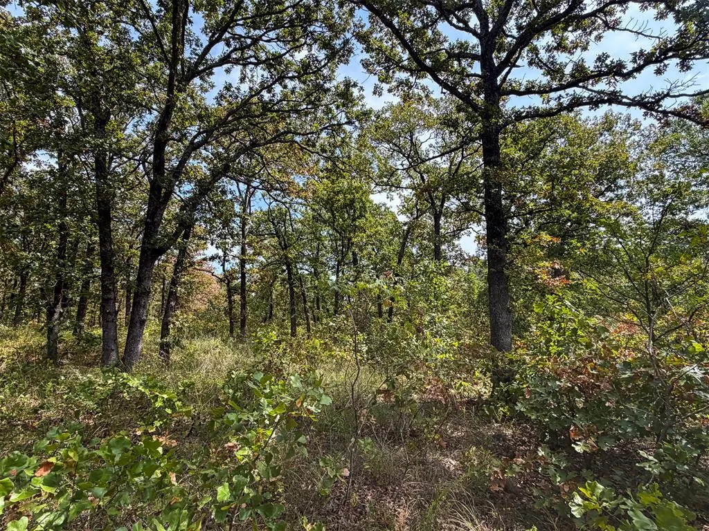 Photo 30 — 0000 W 341ST Street, Depew, OK 74028