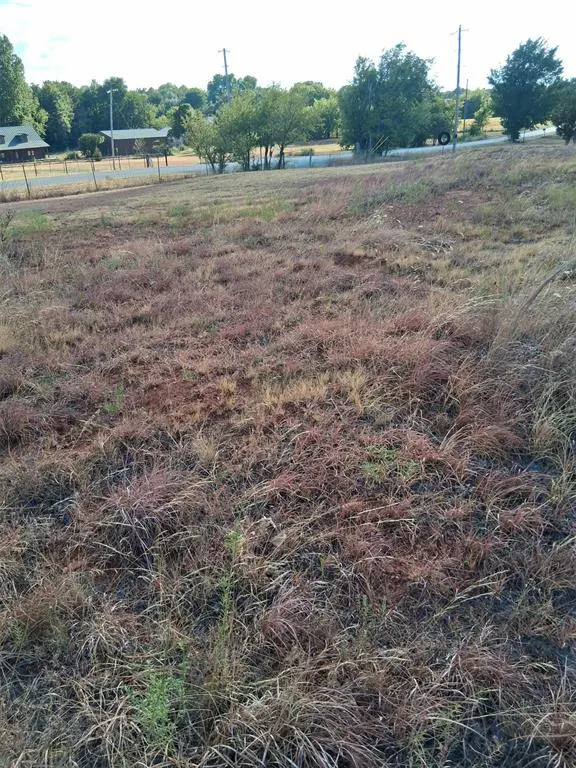 Photo 2 — county street 2966, Blanchard, OK 73010