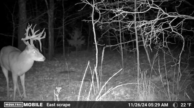 Photo 3 — 36200 EW 1190 Road, Seminole, OK 74868