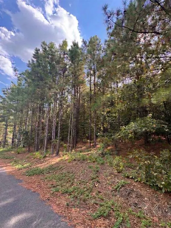 Photo 2 — 131 S Spruce Trail, Broken Bow, OK 74728
