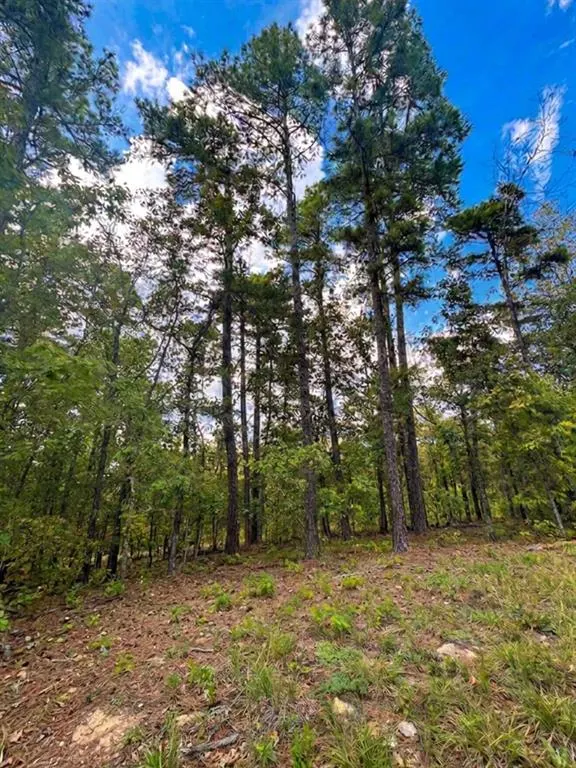 Photo 2 — 1054 Carter Mountain Trail, Broken Bow, OK 74728