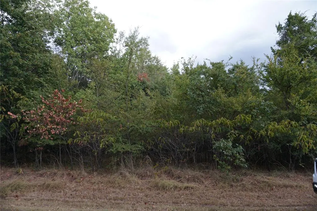 Photo 6 — 1935 Live Oak Drive, Kingston, OK 73439