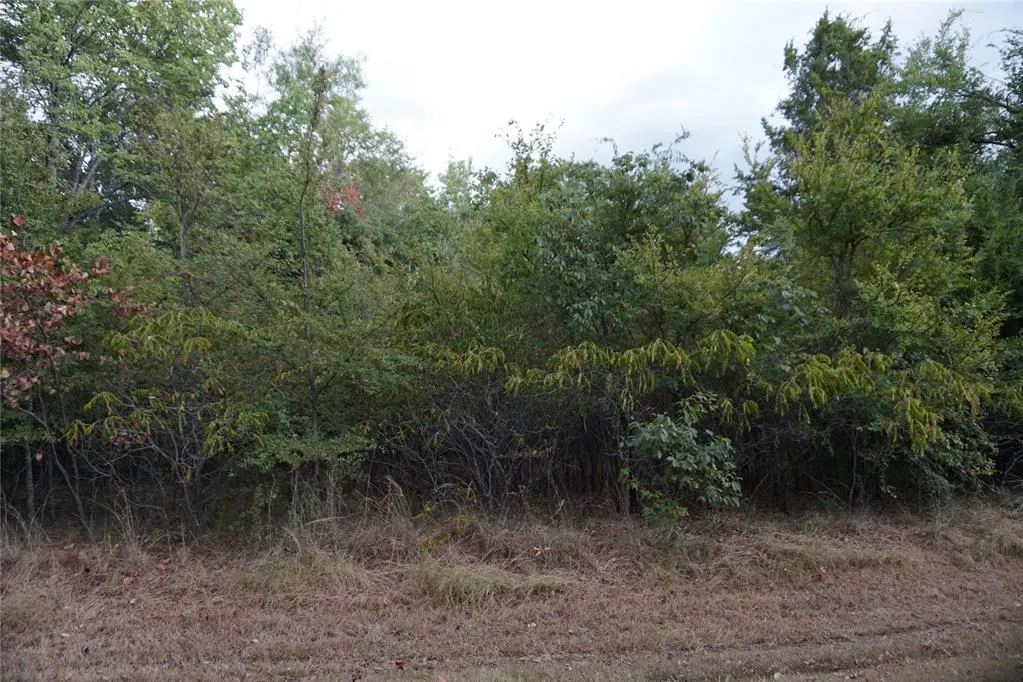 Photo 7 — 1935 Live Oak Drive, Kingston, OK 73439