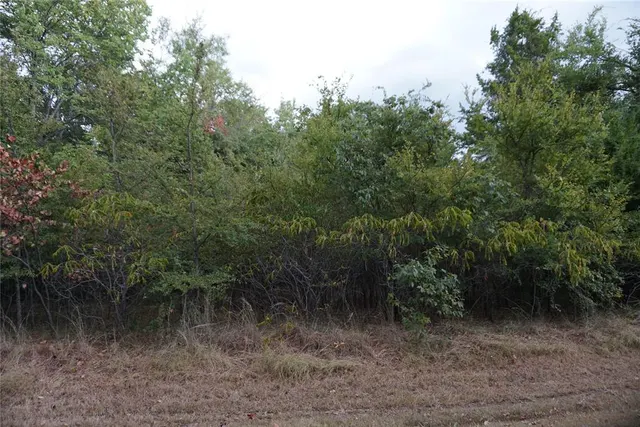 Photo 7 — 1935 Live Oak Drive, Kingston, OK 73439