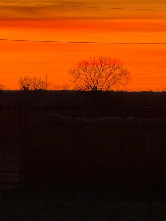 Photo 50 — 17203 Brangus Road, Shawnee, OK 74801