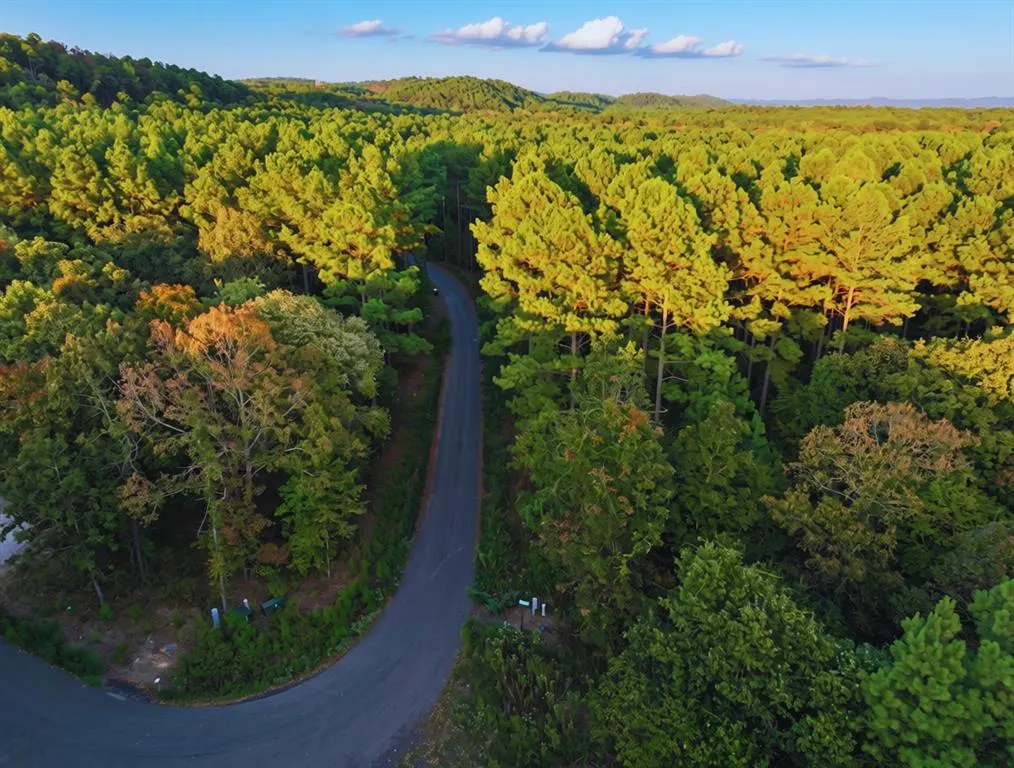 Photo 2 — 52 Western Pine Trail, Broken Bow, OK 74728