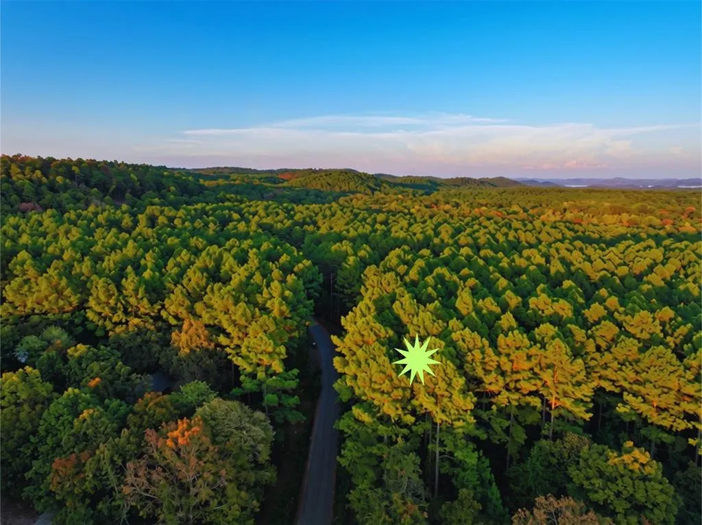 Photo 3 — 52 Western Pine Trail, Broken Bow, OK 74728