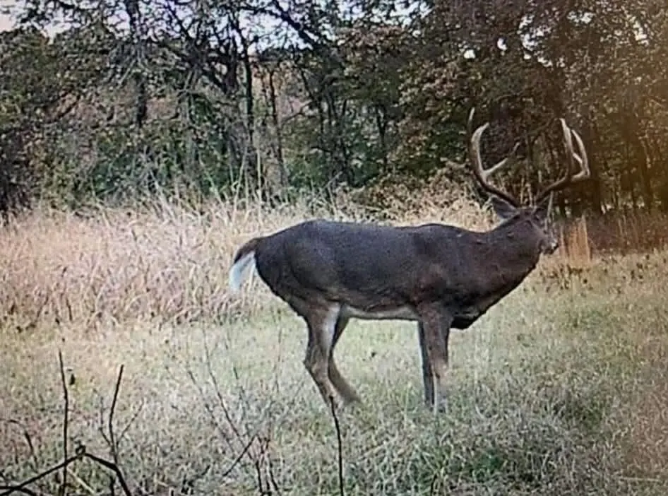Photo 2 — EW 1340 Road, Holdenville, OK 74848