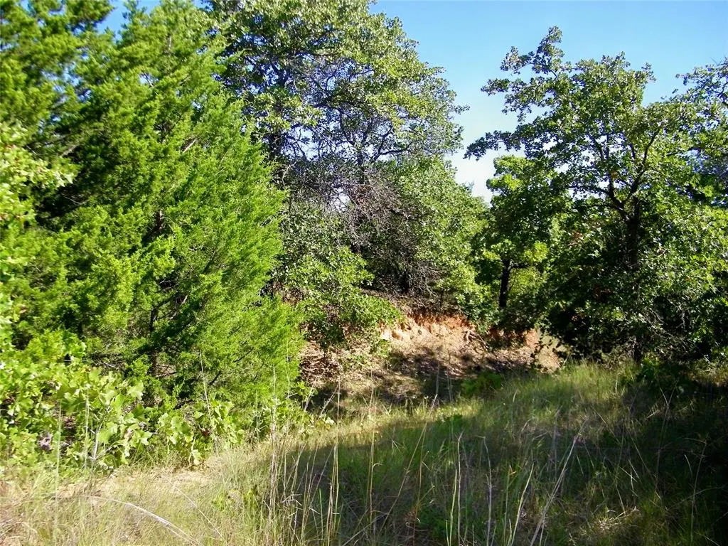 Photo 15 — 0 Highway 102, Macomb, OK 74852