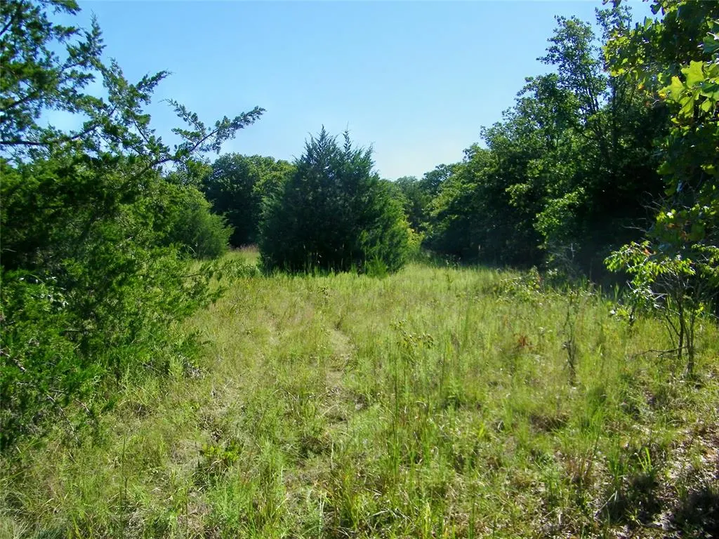 Photo 19 — 0 Highway 102, Macomb, OK 74852
