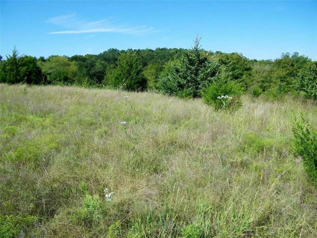 Photo 28 — 0 Highway 102, Macomb, OK 74852