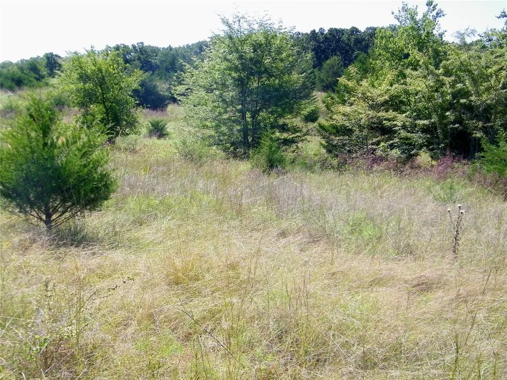 Photo 36 — 0 Highway 102, Macomb, OK 74852