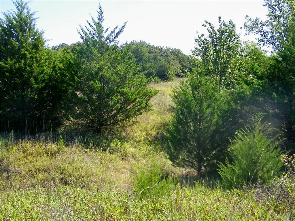 Photo 39 — 0 Highway 102, Macomb, OK 74852