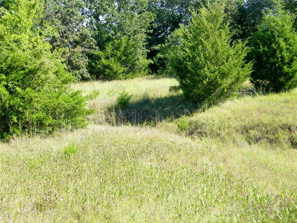 Photo 40 — 0 Highway 102, Macomb, OK 74852