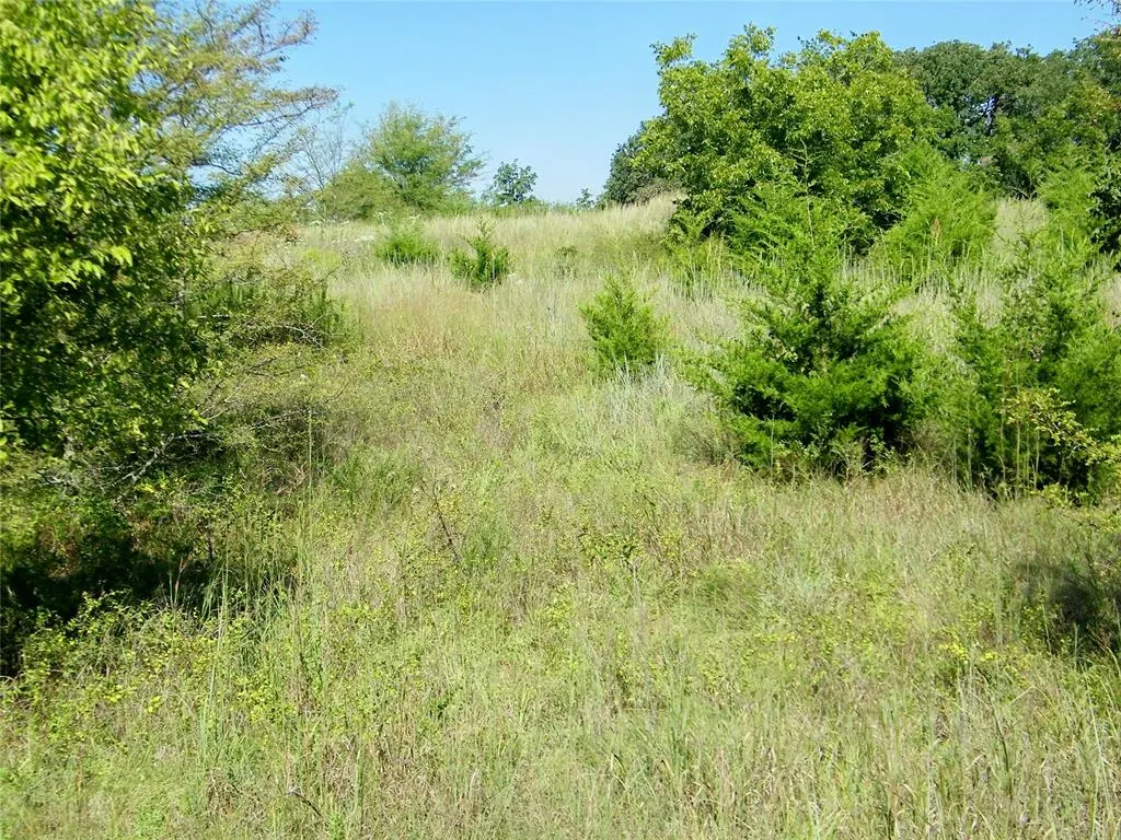 Photo 41 — 0 Highway 102, Macomb, OK 74852