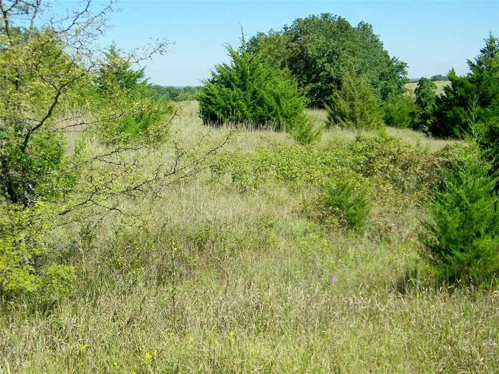Photo 42 — 0 Highway 102, Macomb, OK 74852