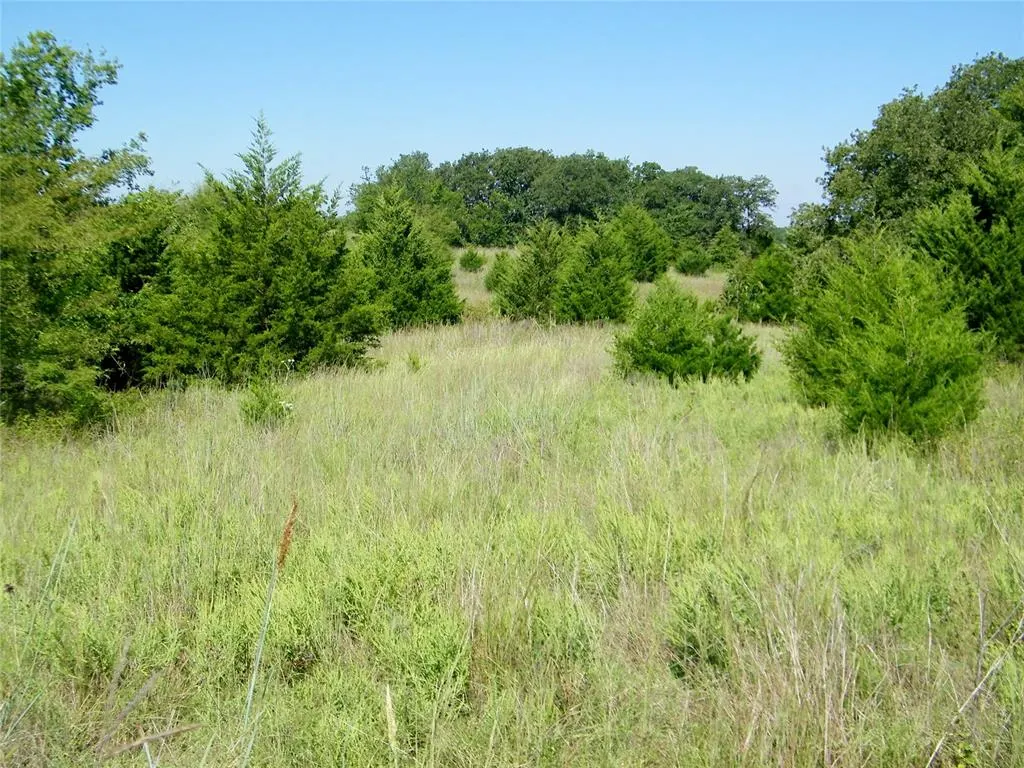 Photo 48 — 0 Highway 102, Macomb, OK 74852