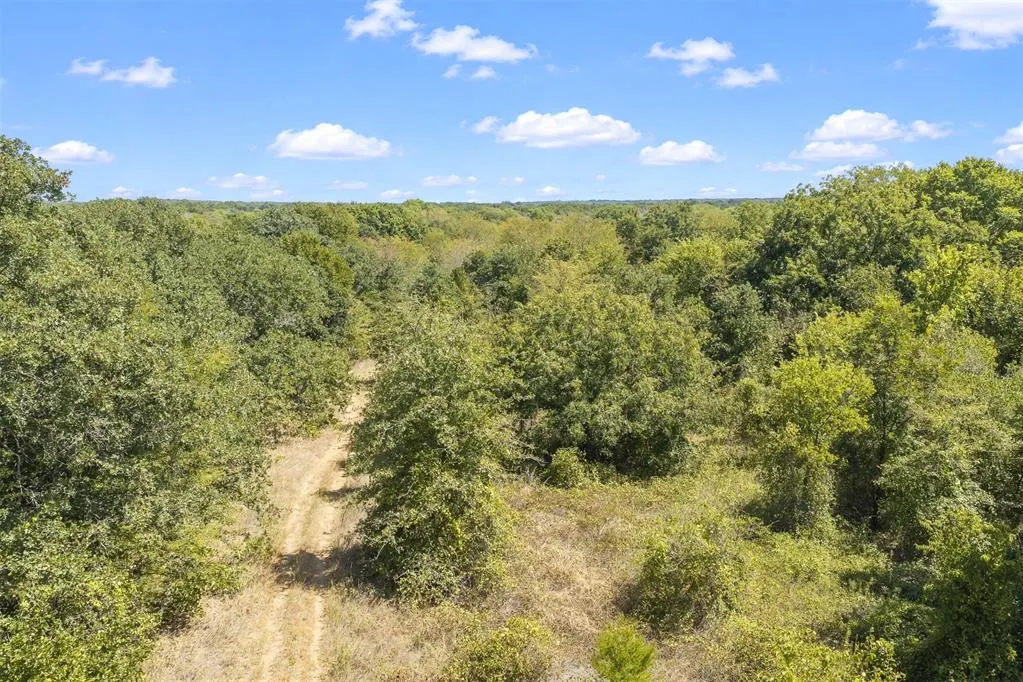 Photo 13 — 4490 Dillard Road, Wilson, OK 73463