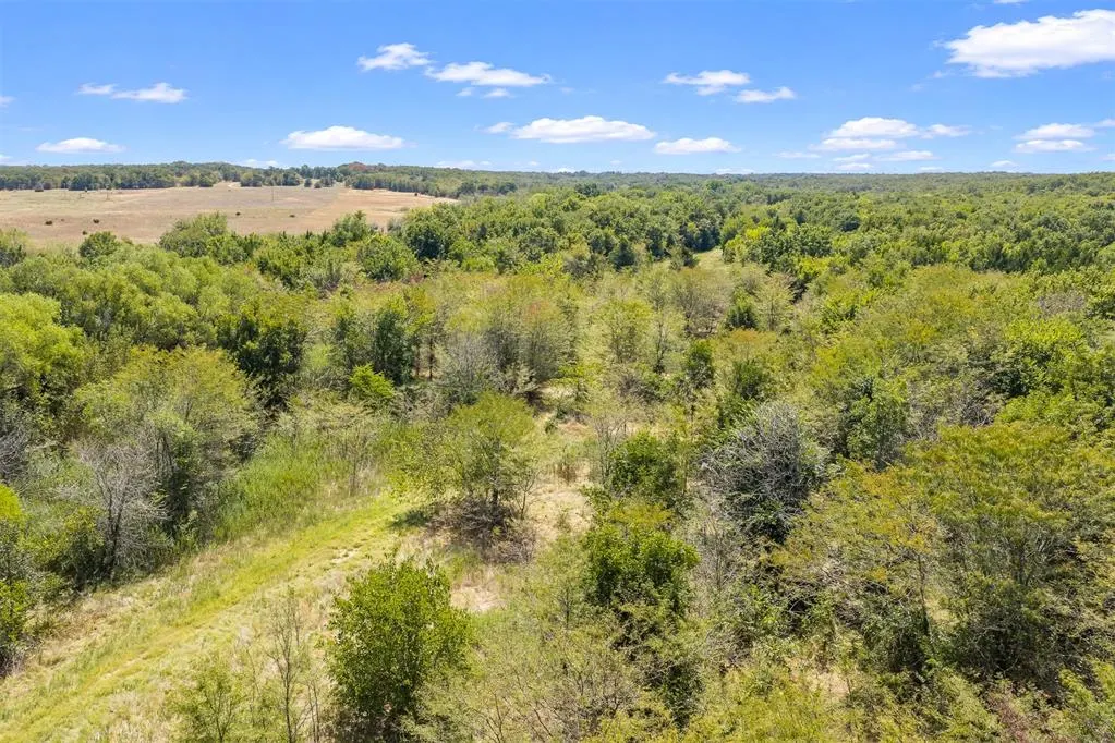 Photo 15 — 4490 Dillard Road, Wilson, OK 73463