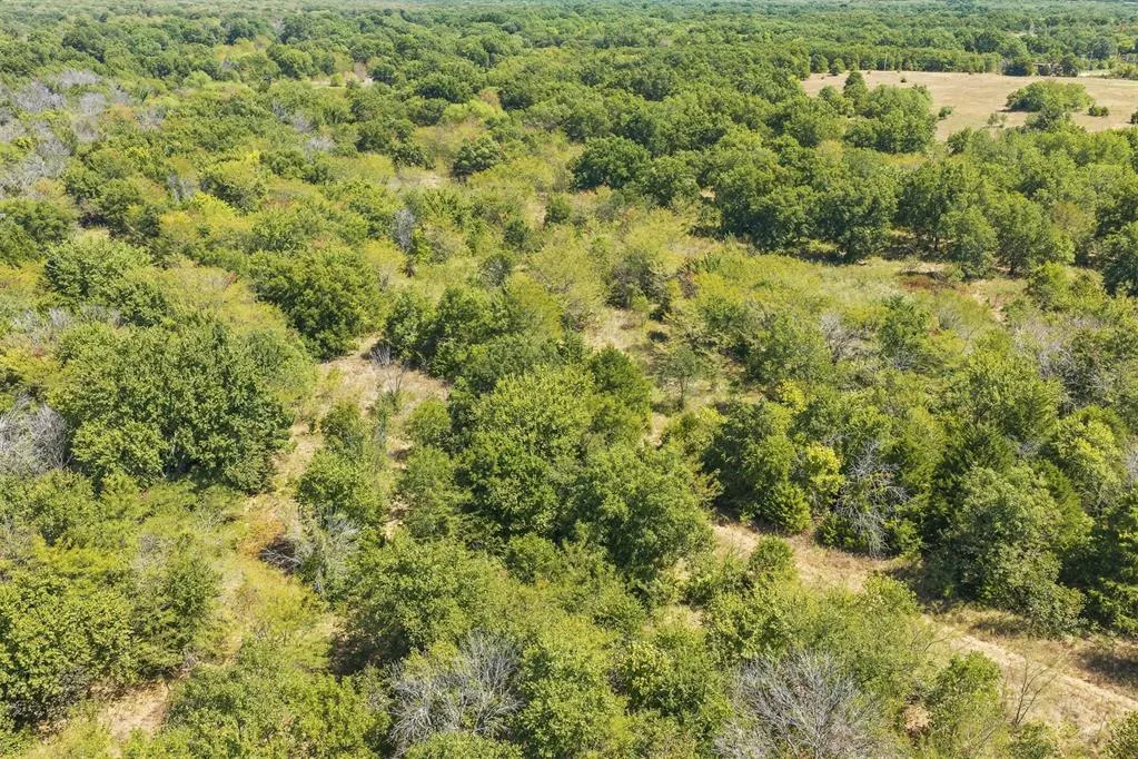 Photo 16 — 4490 Dillard Road, Wilson, OK 73463