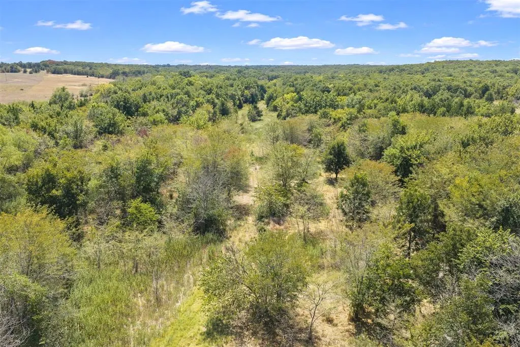 Photo 18 — 4490 Dillard Road, Wilson, OK 73463