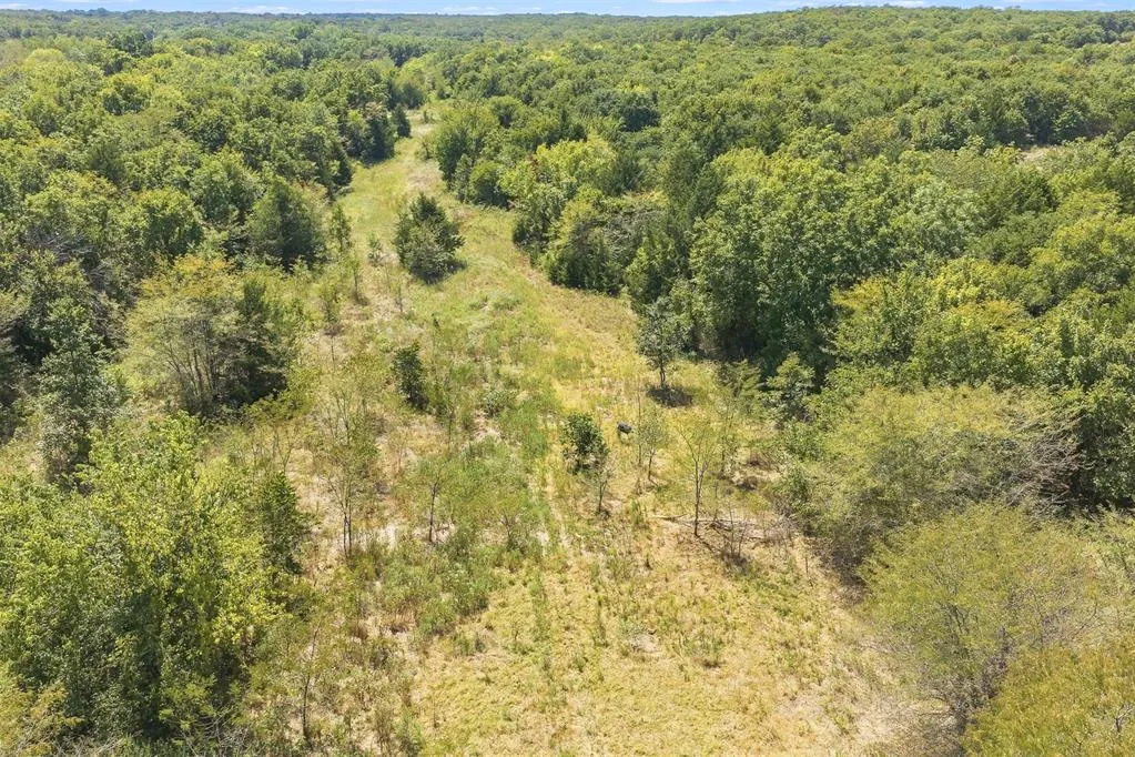 Photo 19 — 4490 Dillard Road, Wilson, OK 73463