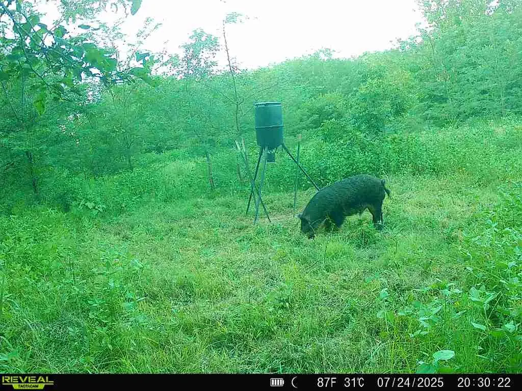 Photo 26 — 4490 Dillard Road, Wilson, OK 73463