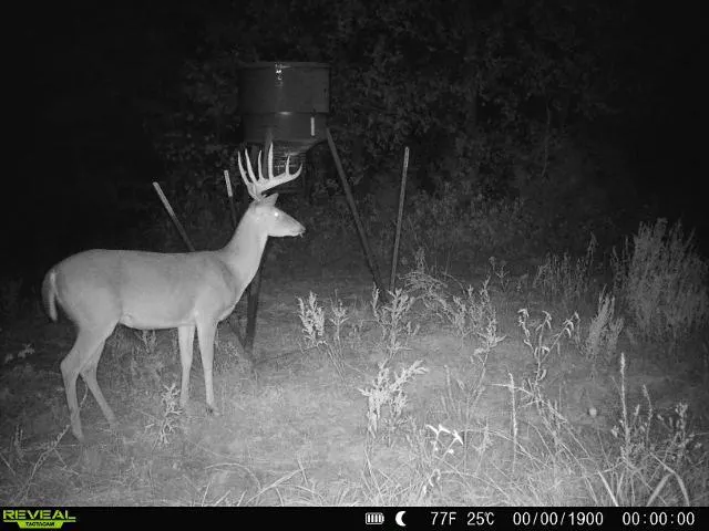 Photo 29 — 4490 Dillard Road, Wilson, OK 73463