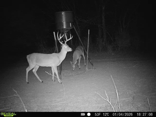 Photo 30 — 4490 Dillard Road, Wilson, OK 73463