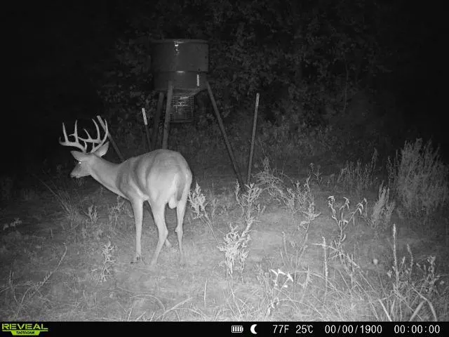 Photo 31 — 4490 Dillard Road, Wilson, OK 73463