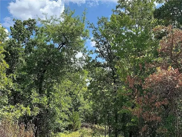 Photo 4 — 0 Osage Hills Drive, Newalla, OK 74857