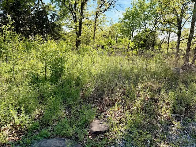 Photo 5 — Pine Drive, Stigler, OK 74462