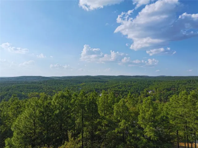 Photo 2 — 489 Timber Creek Trail, Broken Bow, OK 74728