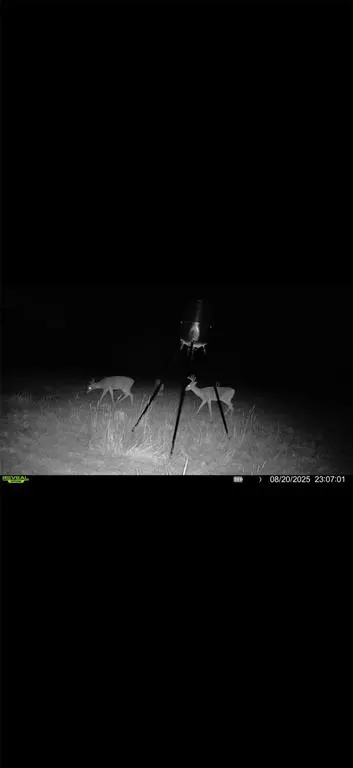 Photo 50 — 27668 N 2920 Road, Okarche, OK 73750